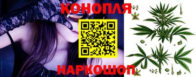 трава Новодвинск