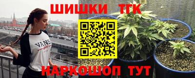 шишки Новокубанск