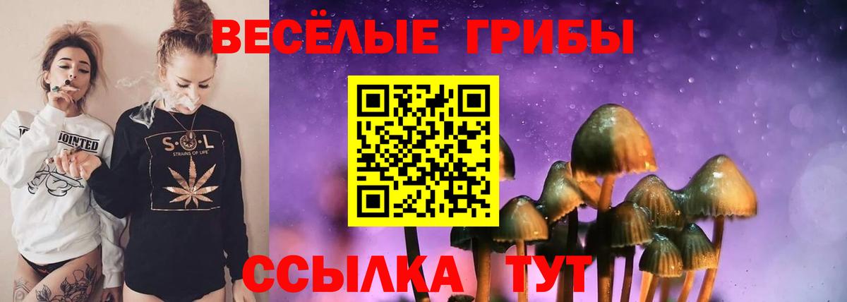 Среднеуральск  Галлюциногенные грибы Psilocybine cubensis  Вход с VPN 